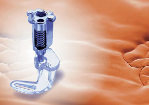 Bernina presser foot